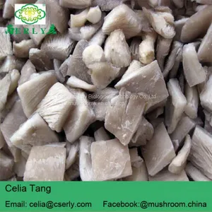 Dried Oyster Mushroom thumbnail-5