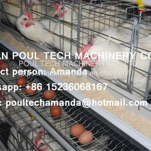 Tanzania Poultry Farm Hot Galvanized Cage & A Type Battery Cage Layer Breeding Chicken Cage & Coop for Poultry Farm thumbnail-3