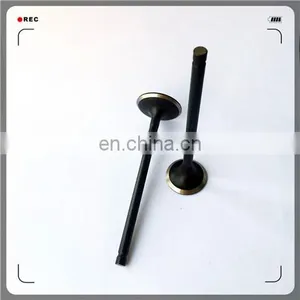 Oem 4A13-1007011 4A13-1007017 Engine Valve for 4A15 thumbnail-5