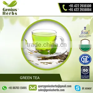 Most Demanded High Quality Green Tea at Lowest Market Price thumbnail-2
