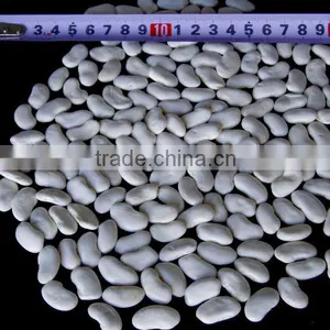 Flat White Kidney Beans thumbnail-1