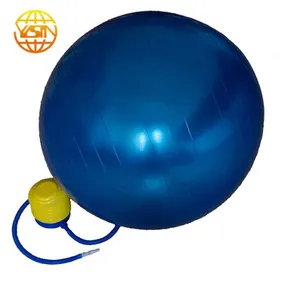 Wholesale Custom Logo Exercise or Yoga Balls,gym Yoga Balls for Sale thumbnail-1