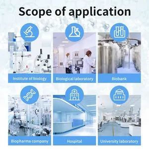 Bissau Ln2 Cryo Freezer KGSQ Liquid Nitrogen Tanks KGSQ Cryogenic Container thumbnail-4