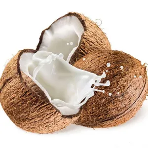 Coconut Processing Machinery/coconut Milk Extractor thumbnail-4