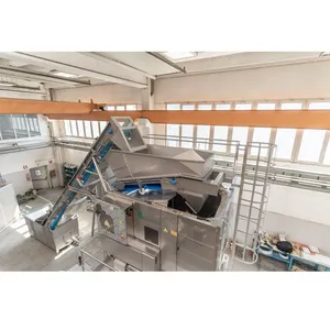 Factory Genyond Shanghai Automatic Steam Potato Peach Carrot Tomato Peeler Equipment Peeling Machine for Less Loss thumbnail-2