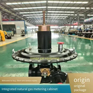 Natural Gas Pressure Regulating and Metering Cabinet, Yongmai Rtz-100aq, Nominal Diameter Dn50, Stable Pressure thumbnail-3
