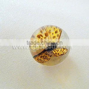 Transparent Acrylic Colorful Real Butterfly Marble Toys thumbnail-3