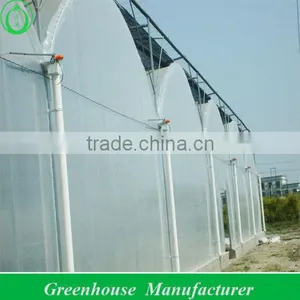 Multi-span Plastic Greenhouses Sale thumbnail-1