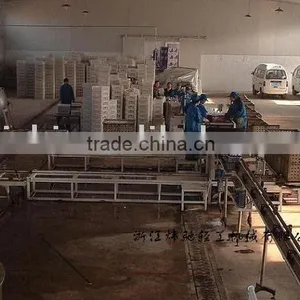 Automatic Loading and Unloading Machine thumbnail-1