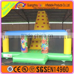 China Made Inflatabel Climbing Wall,rock Climbing Wall for Sale thumbnail-2