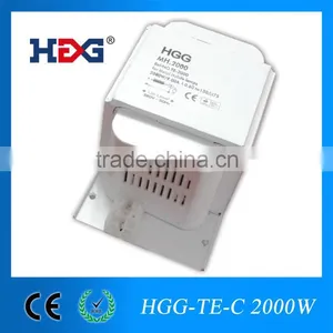 380V 2000w Metal Halide Ballast Hid Ballast 2000w Choke Supplier's Choice thumbnail-1