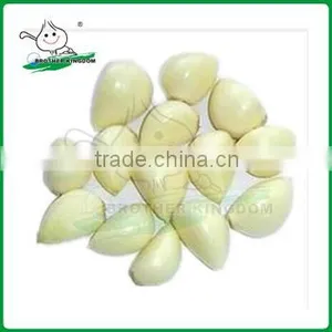 2014 High Quliaty Fresh Peeled Garlic Clove thumbnail-1