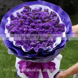 Supply Gypsophila Million Stars Cutting New Gypsophila With 1kg/bundle From Yunnan, China thumbnail-6