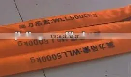 Wll 200t Polyester Endless 5t Round Slings thumbnail-2