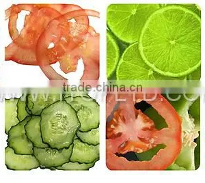 Hot Selling Vegetable Fruit Cube Cutter/ Vegetable Slicer Machine thumbnail-5