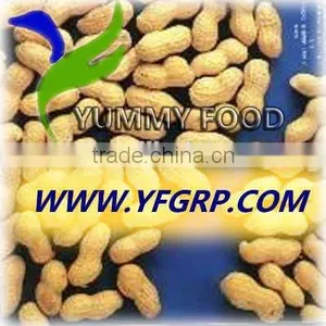 Raw Peanuts in Shell/Groundnuts in Shell for Sell thumbnail-3