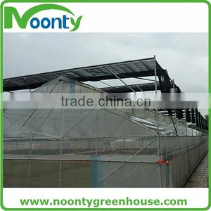 Tropical Greenhouse thumbnail-1