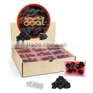 Coal Speciment in a Box Rock and Mineral Science Kit thumbnail-1