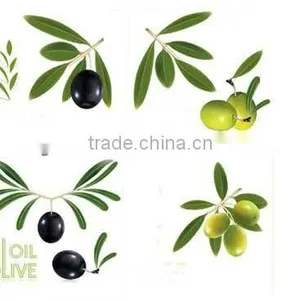 Olive Oil Press/Palm Oil Expeller thumbnail-1