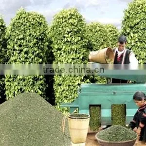 VIET NAM WHITE PEPPER 630g/l Good Price (Viber/Whatsaap: 0084965152844) thumbnail-2