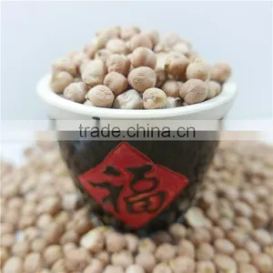 Best Quality Chickpea Market Price HPS Chick Pea Beans thumbnail-1
