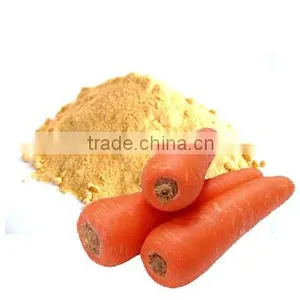 Spray Dried Carrot Powder thumbnail-1