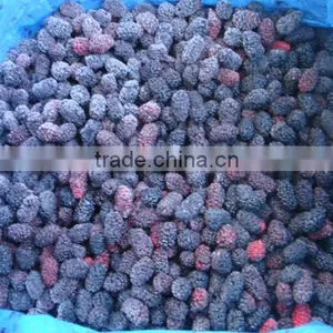 New Crop Frozen Mulberry for Sale thumbnail-2