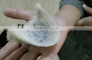 High Quality of BirdsNest From Thailand thumbnail-1