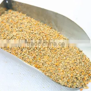 Food Grade Organic Bulk Bee Pollen thumbnail-1