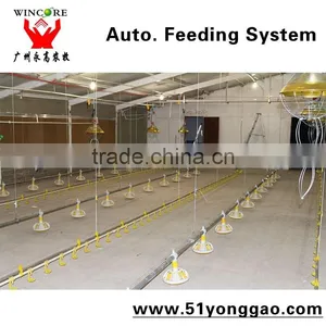 Hot Salling Poultry Feeding System for Automatic Poultry Farming Equipment for Chickens thumbnail-5