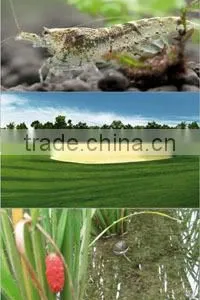 Humic Acid Organic Fertilizer , 90% Fulvic Acid Powder thumbnail-3