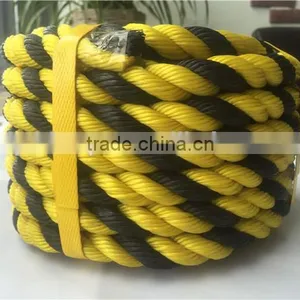 Hot Sale Twist PE Tiger Rope PP Rope 6mm PE Rope Made In Linyi Shandong China thumbnail-5