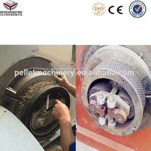 Good Brand Feed Pellet Mill For Poultry Feed thumbnail-3