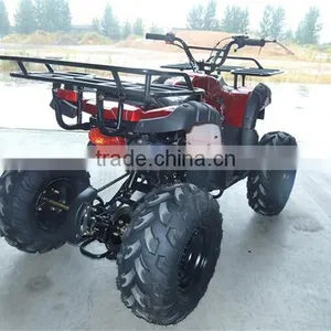Small Beach Buggy Truck For Young Man Race On Beach thumbnail-1