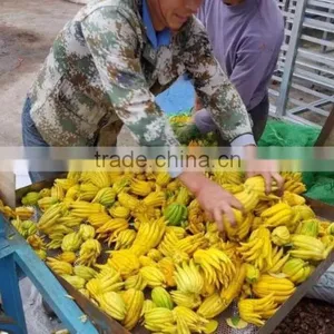 China Supplier Lemon Chips Drying Machine thumbnail-2