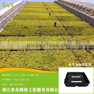 PP Plastic Black Sqaure Shaped Module for Vertical Garden Rooftop thumbnail-1