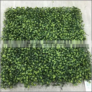 New Plastic Milan Boxwood Panel thumbnail-1