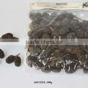 Pinecone for Florist thumbnail-1