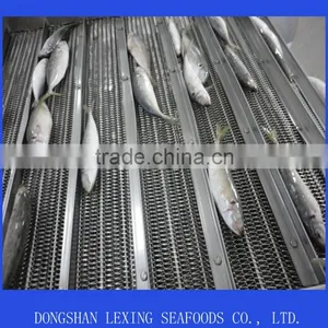 Good Price Frozen Horse Mackerel thumbnail-1