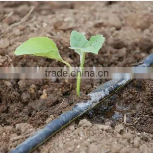 Crops Drip Tape /Plastic Dripline for Watering /plastic Drip Tubes thumbnail-6