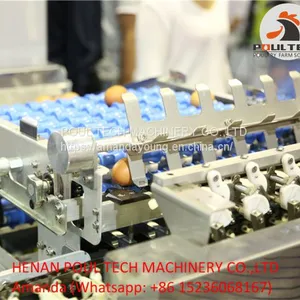 Egg Packing Machine thumbnail-2