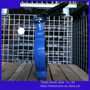 DN100 Marine Wafer Butterfly Valve With NPT Thread thumbnail-2
