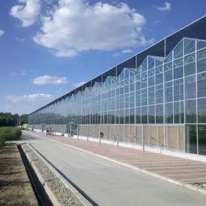 Commercial Glass Greenhouse With Clear PC Sheet Roof thumbnail-1