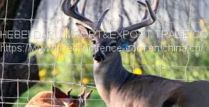New Design Fixed Knot Woven Wire Deer Fencing for Sale thumbnail-5