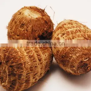 High Quality Fresh Taro Root From Vietnam thumbnail-3