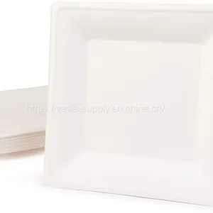 10 Inch Wholeasale Price Eco Friendly Biodegradable Sugarcane Bagasse Square Plate China Supplier thumbnail-2