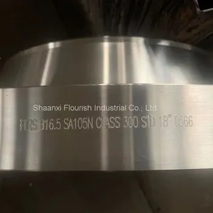 CLASS 300 ASME B16.5 Welding Neck Flange SCH40 / STD ASTM SA105N thumbnail-1