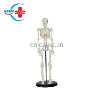 HC-S203 Small Size 42cm Medical Human Skeleton Teaching Model/Plastics Anatomical Models Skeleton thumbnail-1