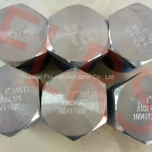 MNPT BSPT Material Threaded Hexagon Head Plug A182 F316 ASME B16.11 thumbnail-2