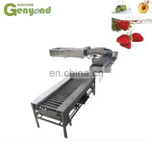 Plc Control Vegetable Sorting Machine / Weighting Fruit Grader for Sale Plastic Paper Threading thumbnail-2